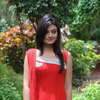 Nikitha Narayan New Pictures | Picture 68857